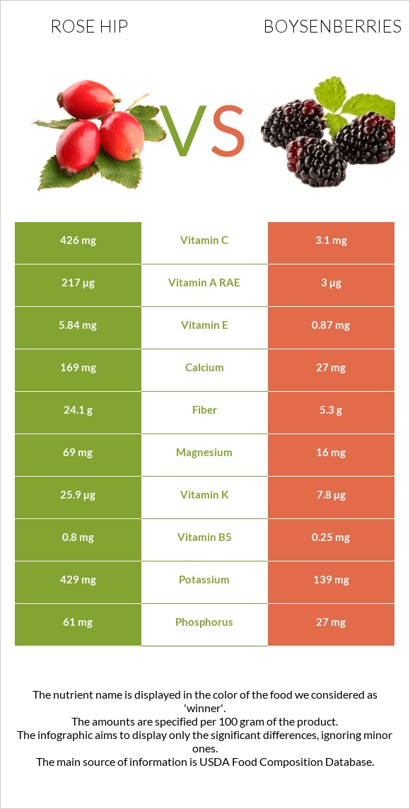 Rose hip vs Boysenberries infographic