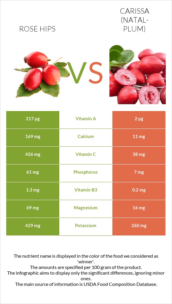 Rose hips vs Carissa (natal-plum) infographic