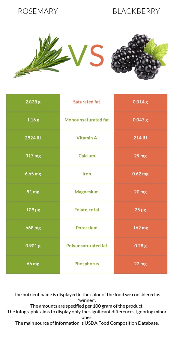 Rosemary vs Blackberry infographic