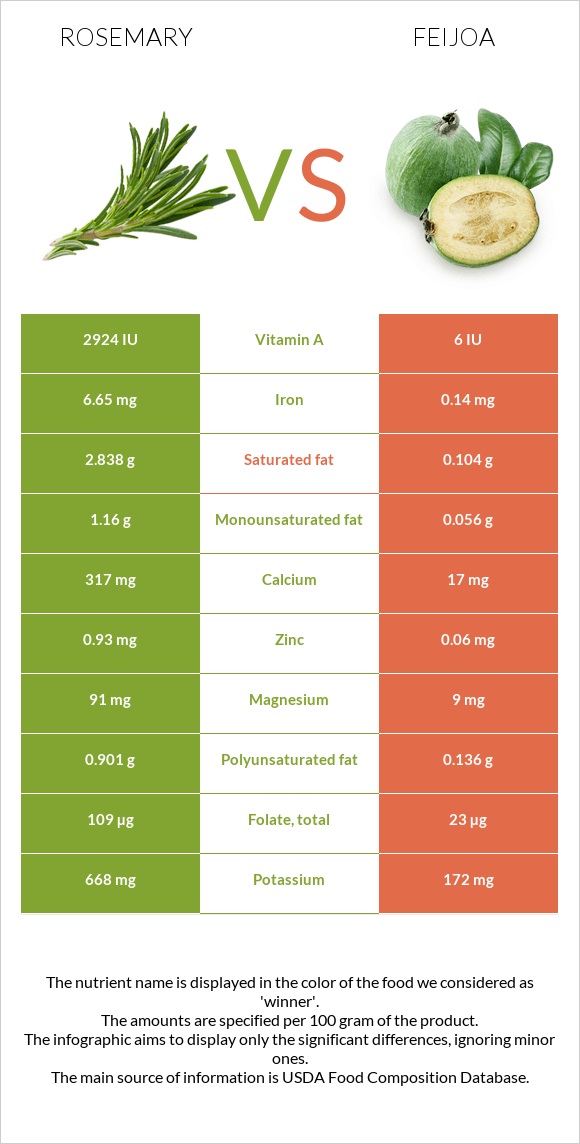 Rosemary vs Feijoa infographic