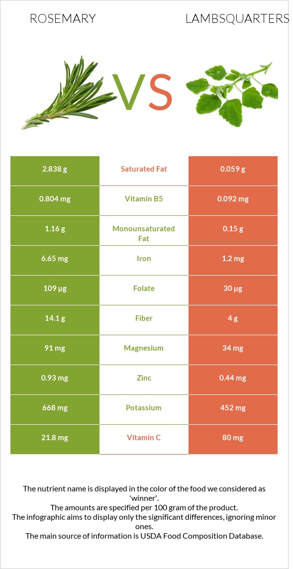 Rosemary vs Lambsquarters infographic