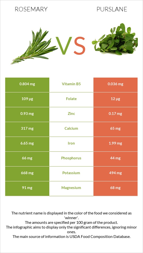 Խնկունի vs Purslane infographic