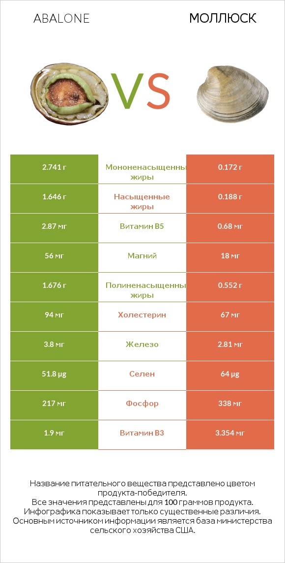 Abalone vs Моллюск infographic