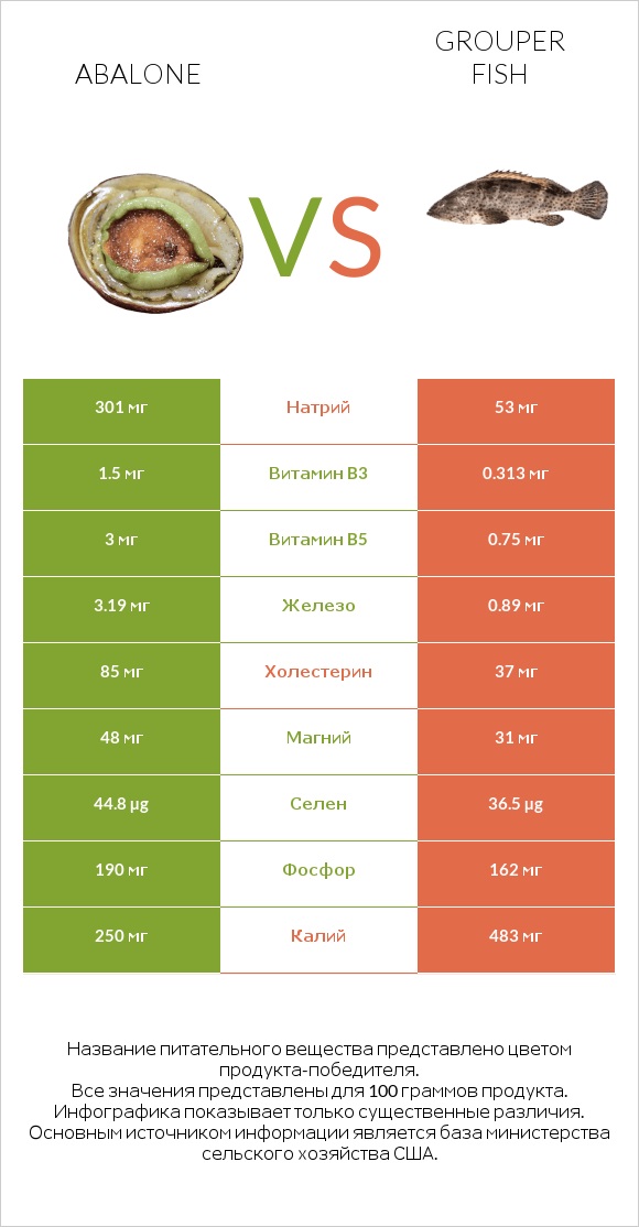 Abalone vs Grouper fish infographic