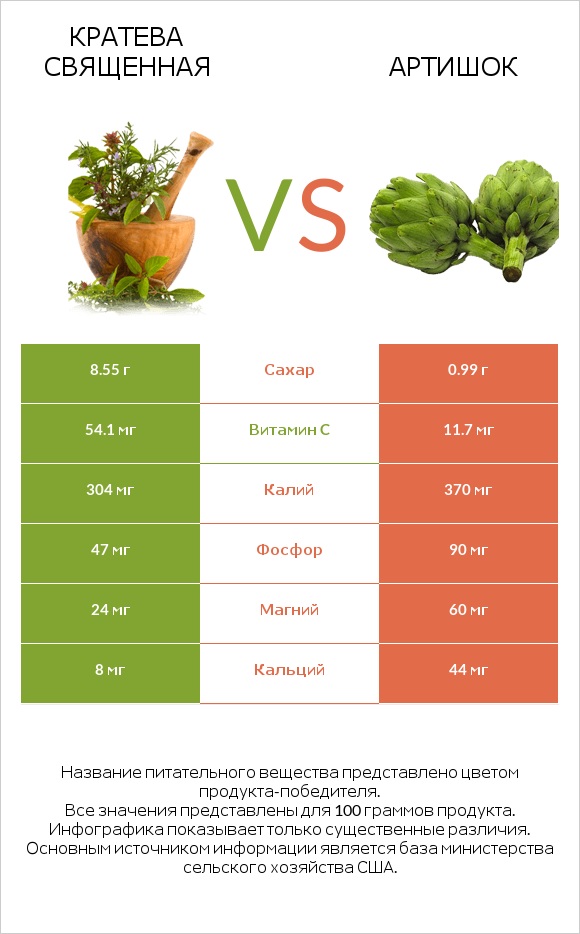 Кратева священная vs Артишок infographic