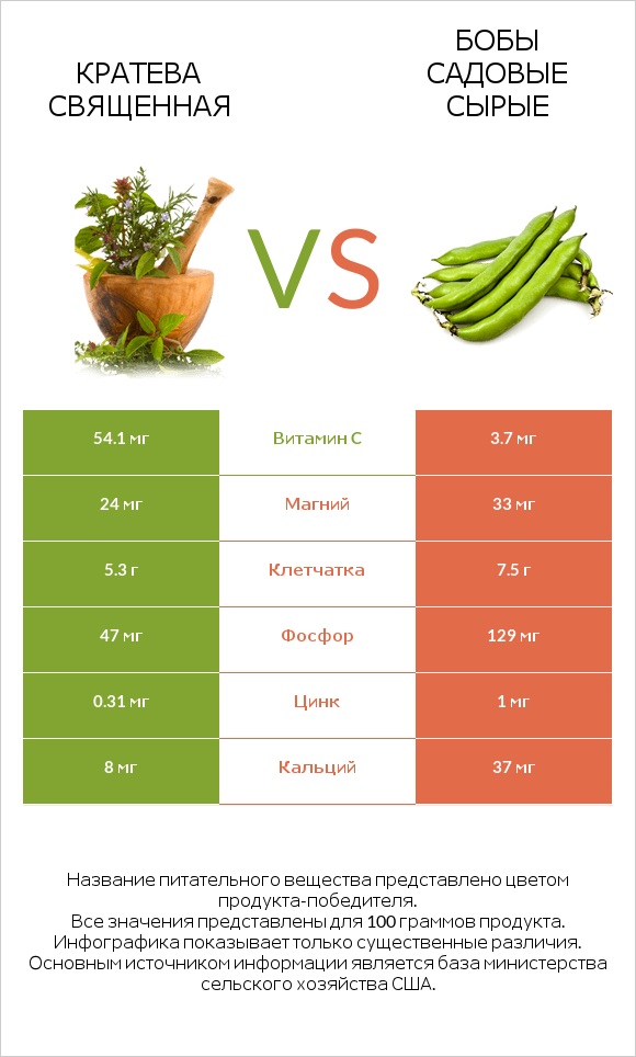 Кратева священная vs Бобы садовые сырые infographic