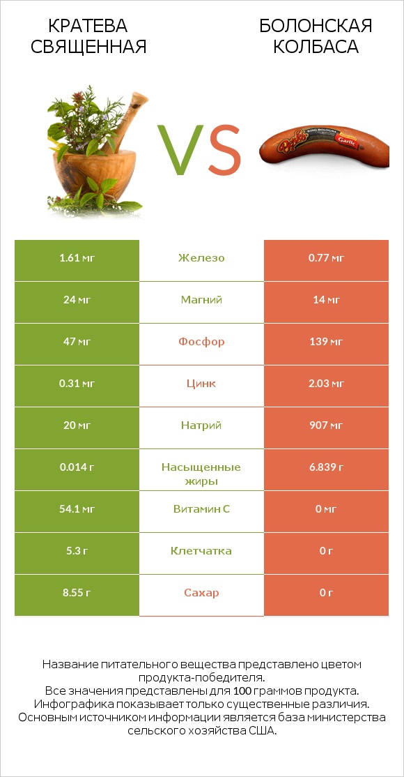 Кратева священная vs Болонская колбаса infographic