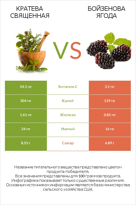 Кратева священная vs Бойзенова ягода infographic