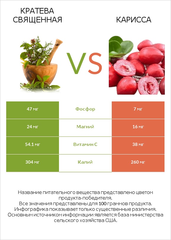 Кратева священная vs Карисса infographic