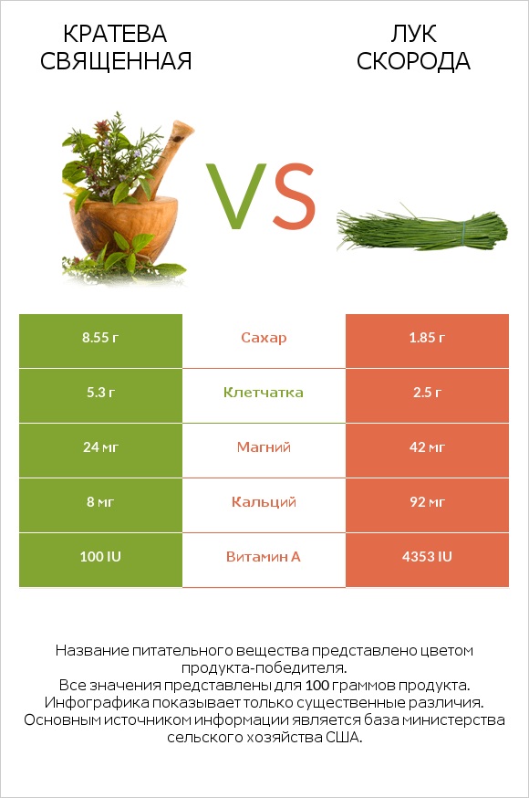 Кратева священная vs Лук скорода infographic