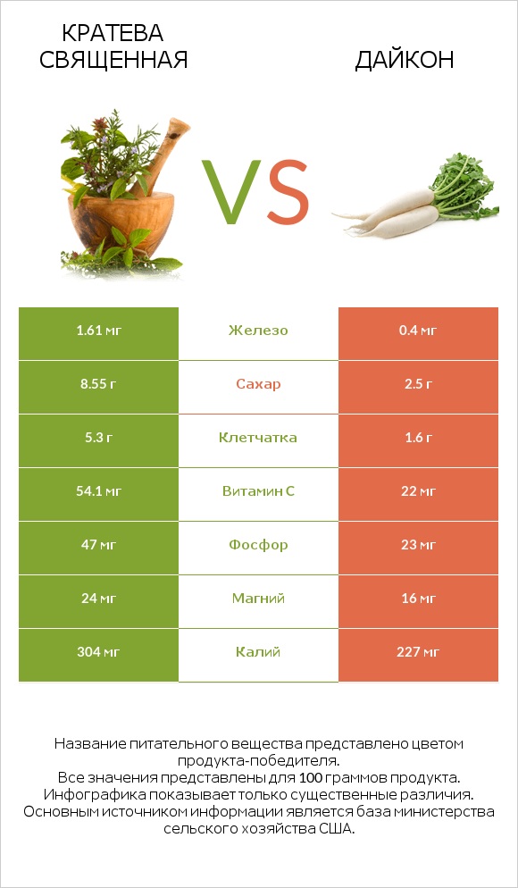 Кратева священная vs Дайкон infographic