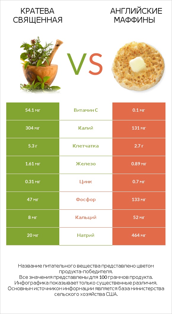 Кратева священная vs Английские маффины infographic