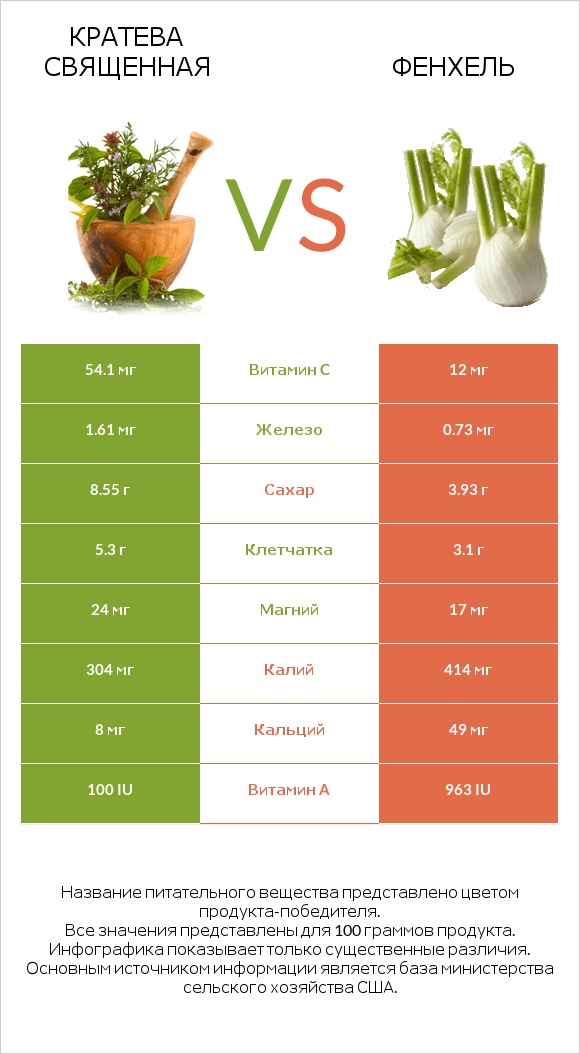 Кратева священная vs Фенхель infographic