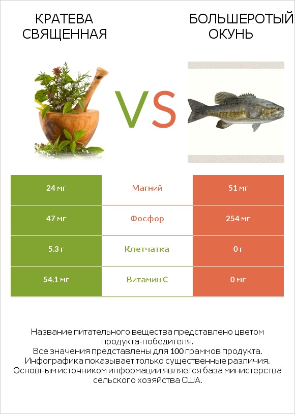 Кратева священная vs Большеротый окунь infographic
