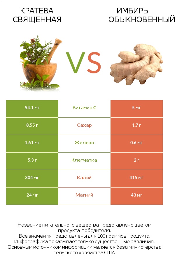 Кратева священная vs Имбирь обыкновенный infographic