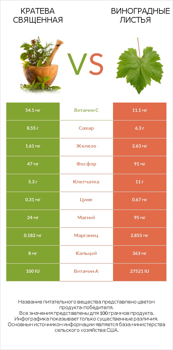 Кратева священная vs Виноградные листья infographic