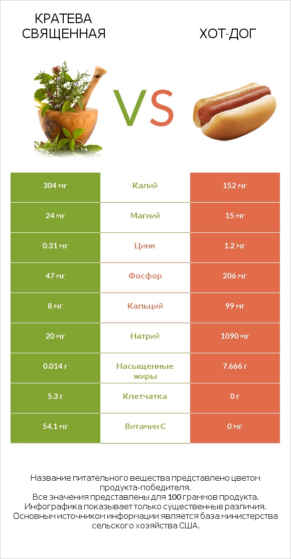 Кратева священная vs Хот-дог infographic
