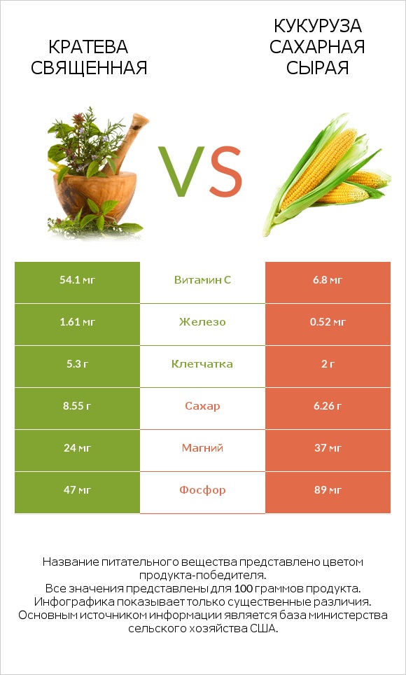 Кратева священная vs Кукуруза сахарная сырая infographic