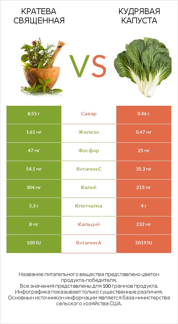 Кратева священная vs Кудрявая капуста infographic