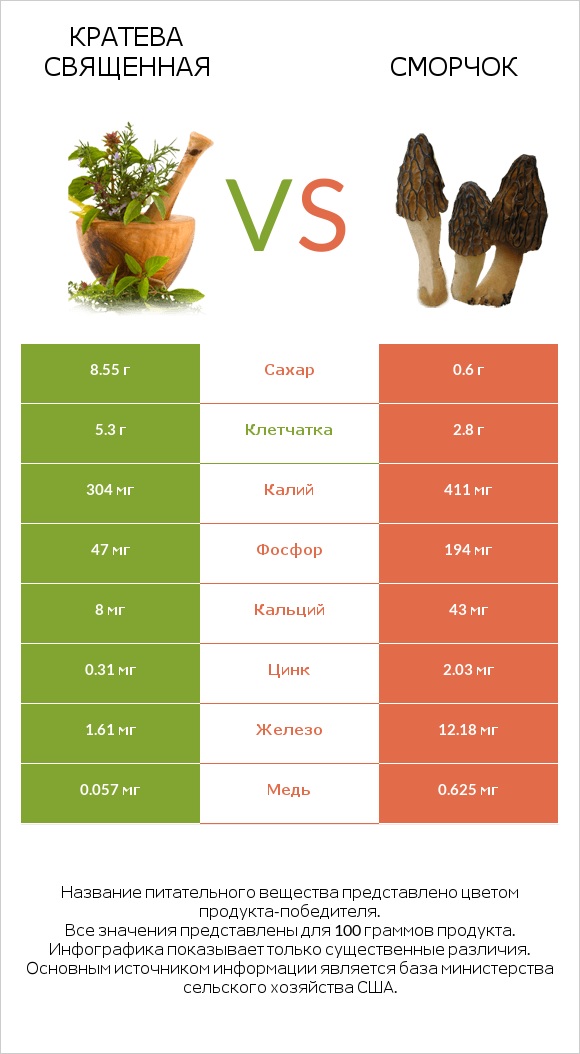 Кратева священная vs Сморчок infographic