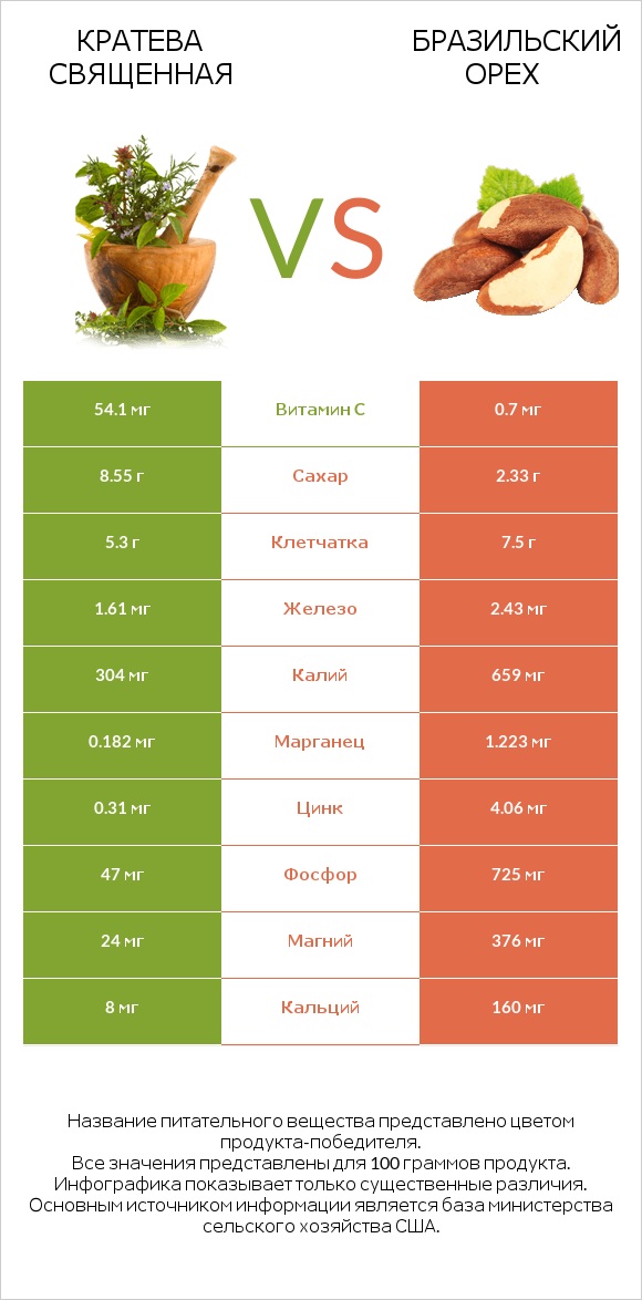 Кратева священная vs Бразильский орех infographic