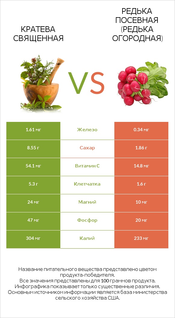 Кратева священная vs Редька посевная (Редька огородная) infographic