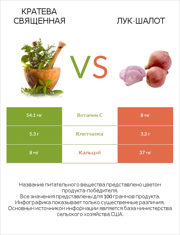 Кратева священная vs Лук-шалот infographic