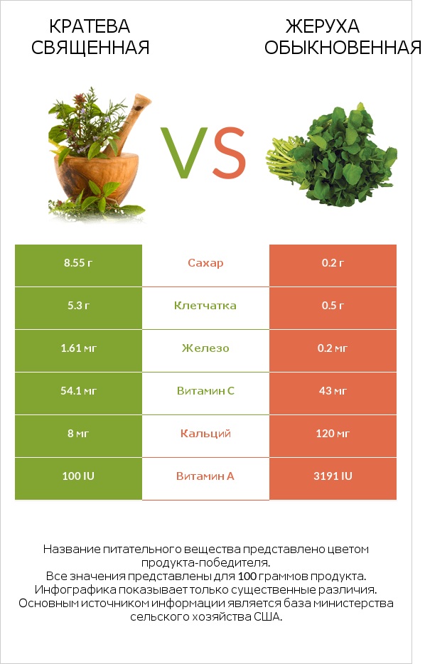 Кратева священная vs Жеруха обыкновенная infographic