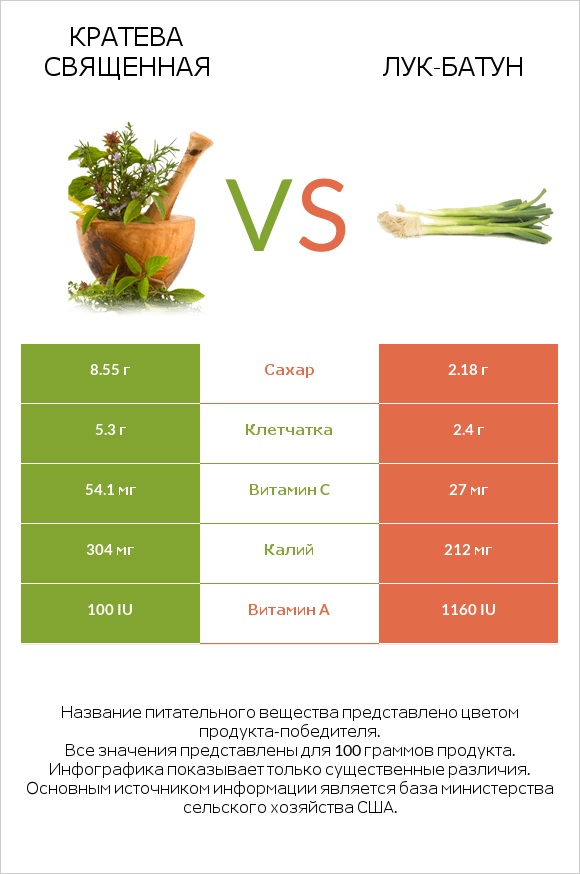 Кратева священная vs Лук-батун infographic