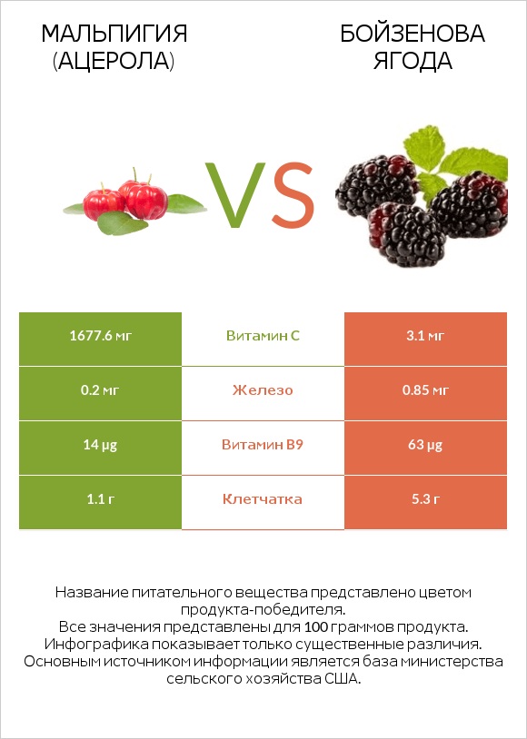 Мальпигия (ацерола) vs Бойзенова ягода infographic