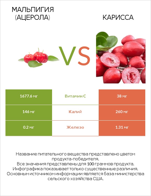 Мальпигия (ацерола) vs Карисса infographic