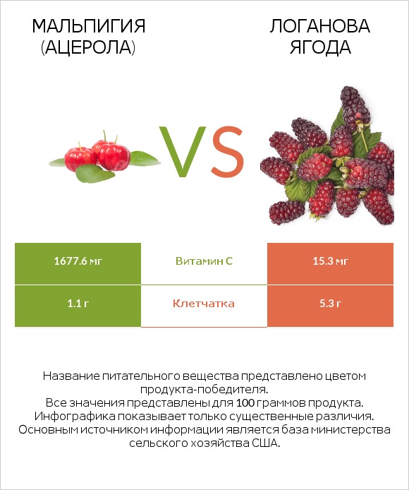 Мальпигия (ацерола) vs Логанова ягода infographic