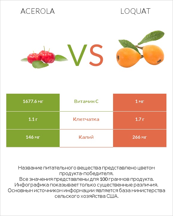 Acerola vs Loquat infographic