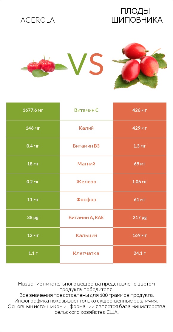 Acerola vs Плоды шиповника infographic