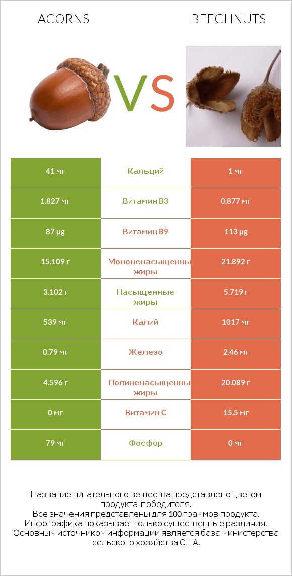 Acorns vs Beechnuts infographic