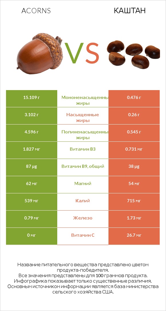 Acorns vs Каштан infographic