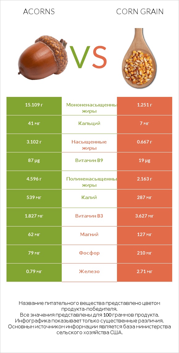 Acorns vs Corn grain infographic