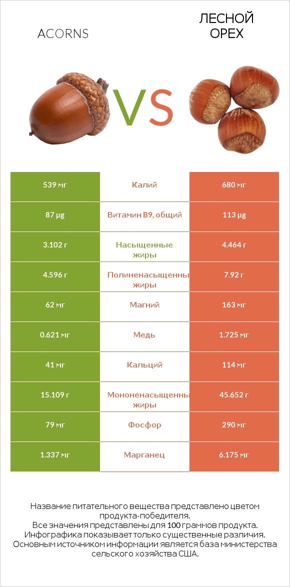 Acorns vs Лесной орех infographic