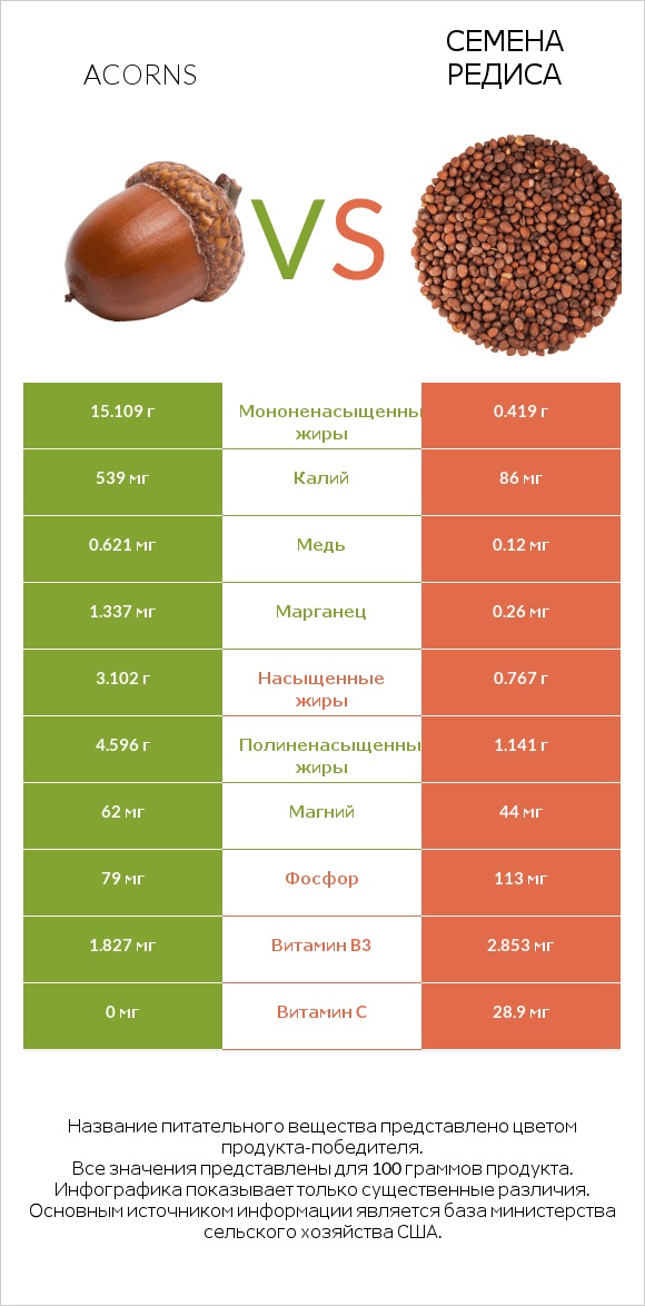 Acorns vs Семена редиса infographic