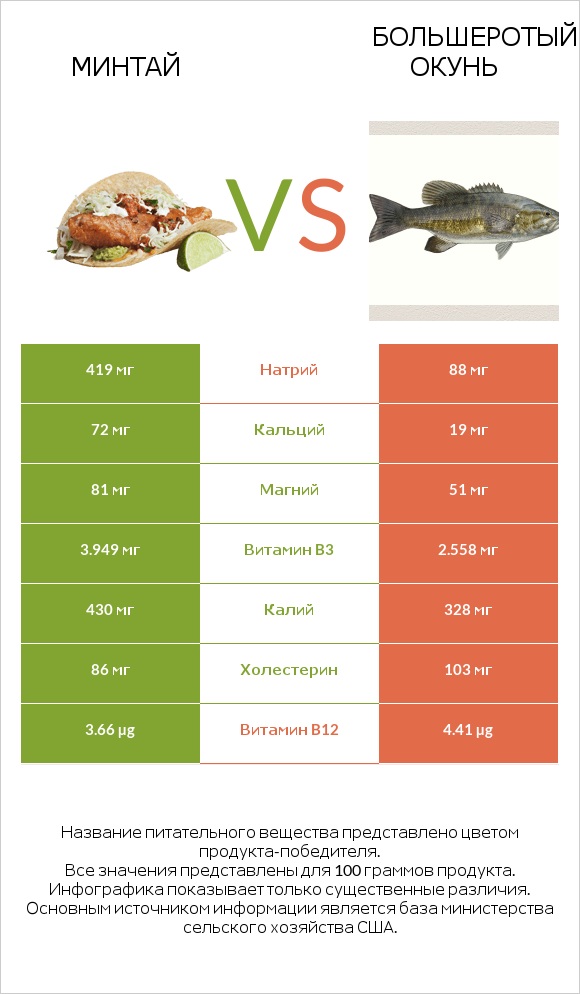 Минтай vs Большеротый окунь infographic