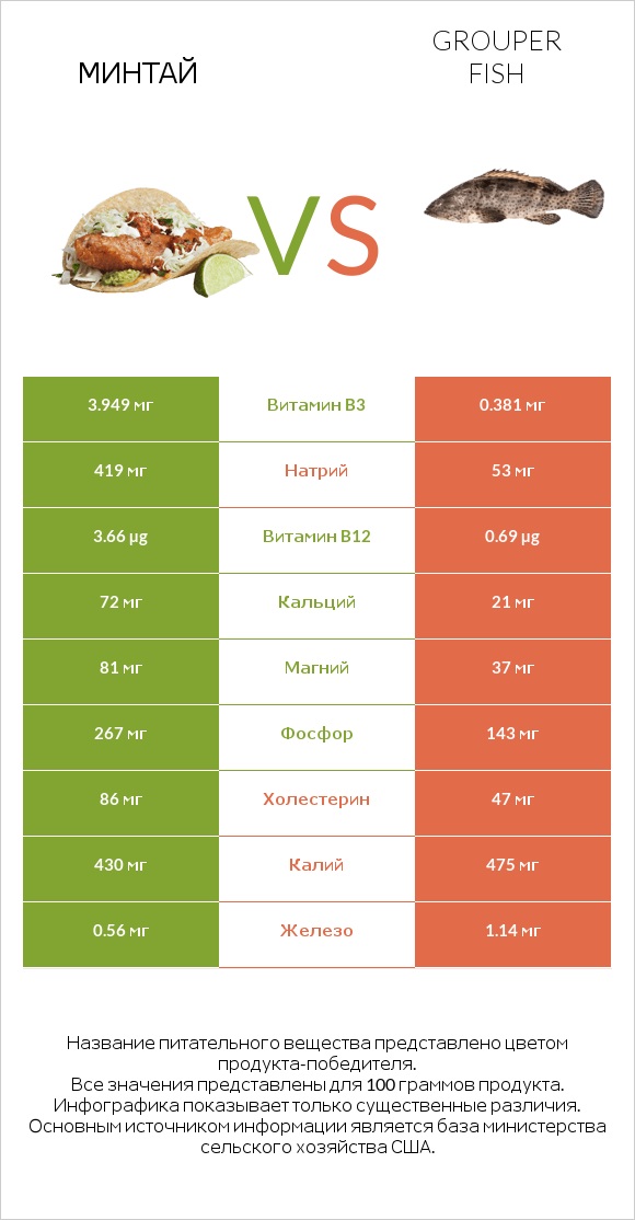 Минтай vs Grouper fish infographic