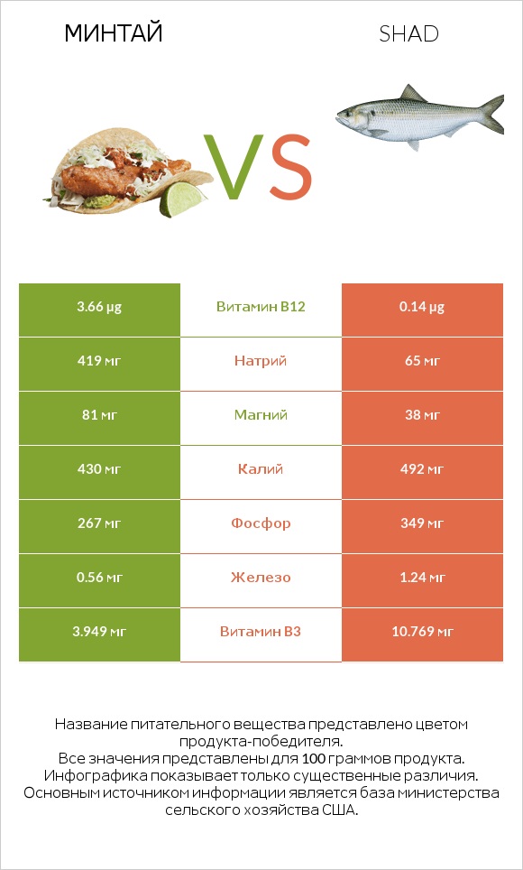 Минтай vs Shad infographic