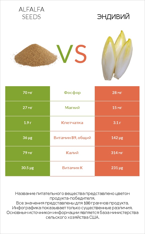 Alfalfa seeds vs Эндивий infographic