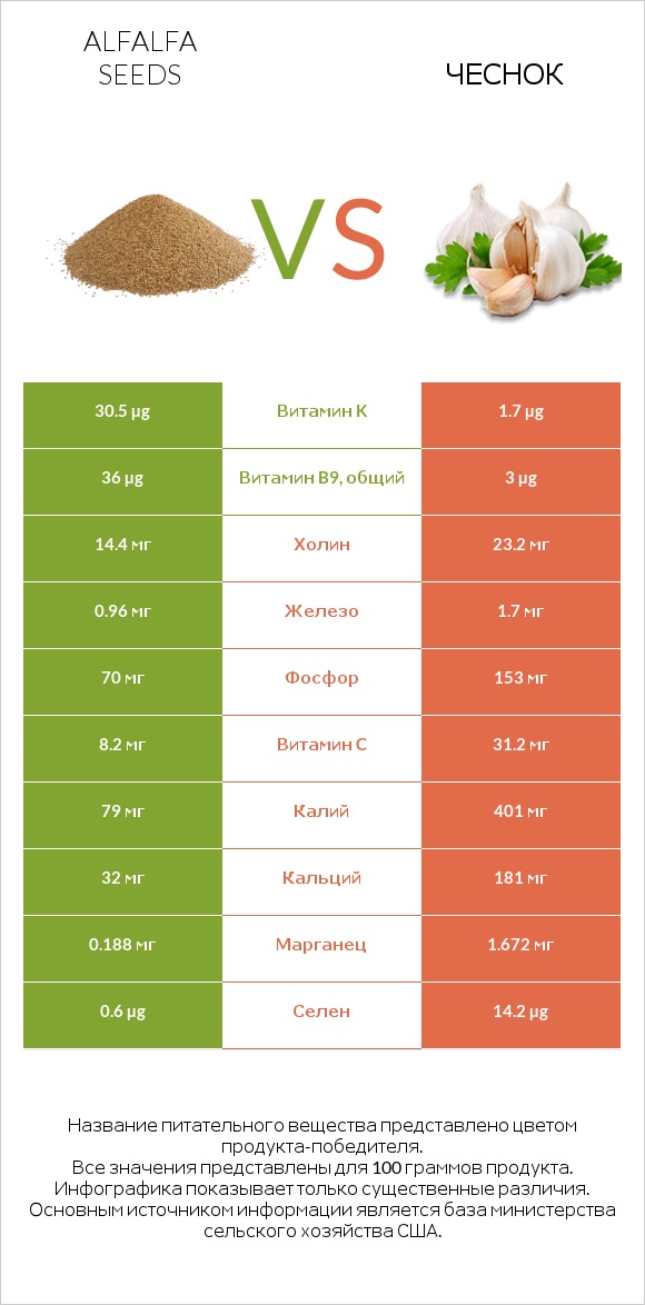 Alfalfa seeds vs Чеснок infographic