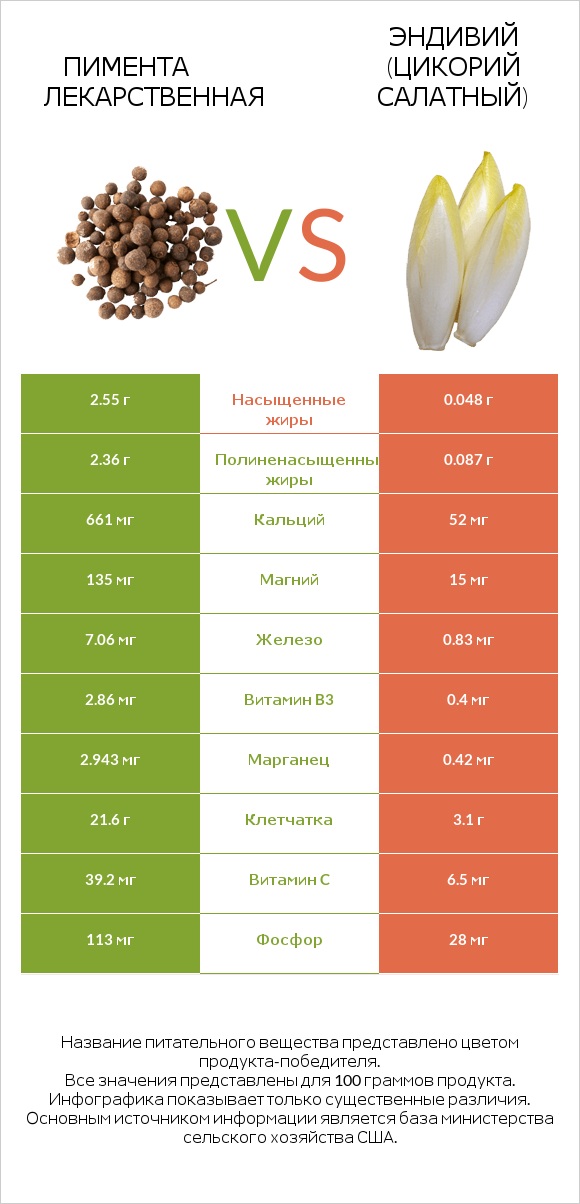 Пимента лекарственная vs Эндивий (Цикорий салатный) infographic
