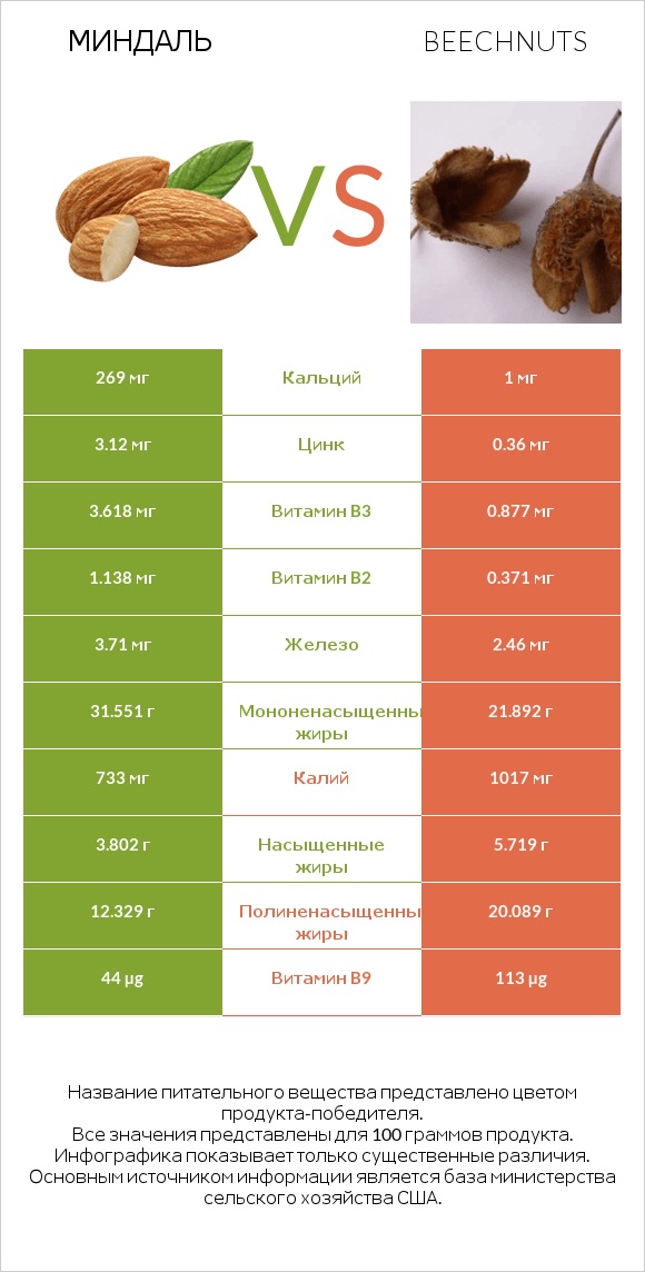 Миндаль vs Beechnuts infographic