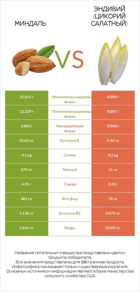 Миндаль vs Эндивий (Цикорий салатный)  infographic