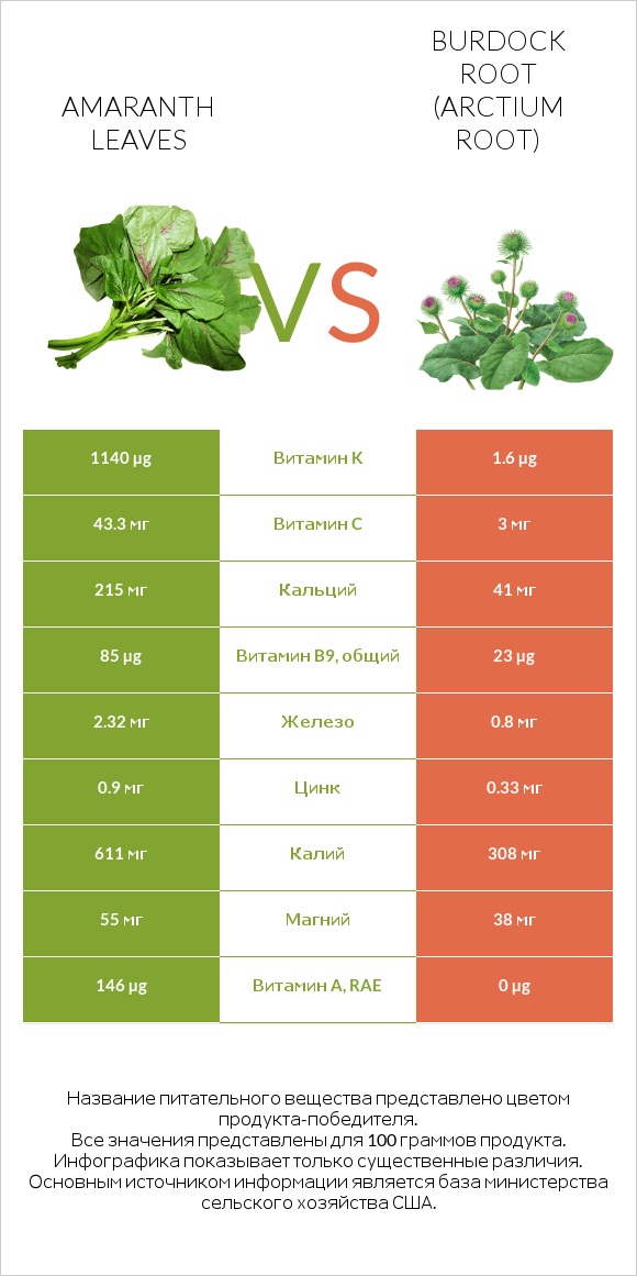 Amaranth leaves vs Burdock root infographic