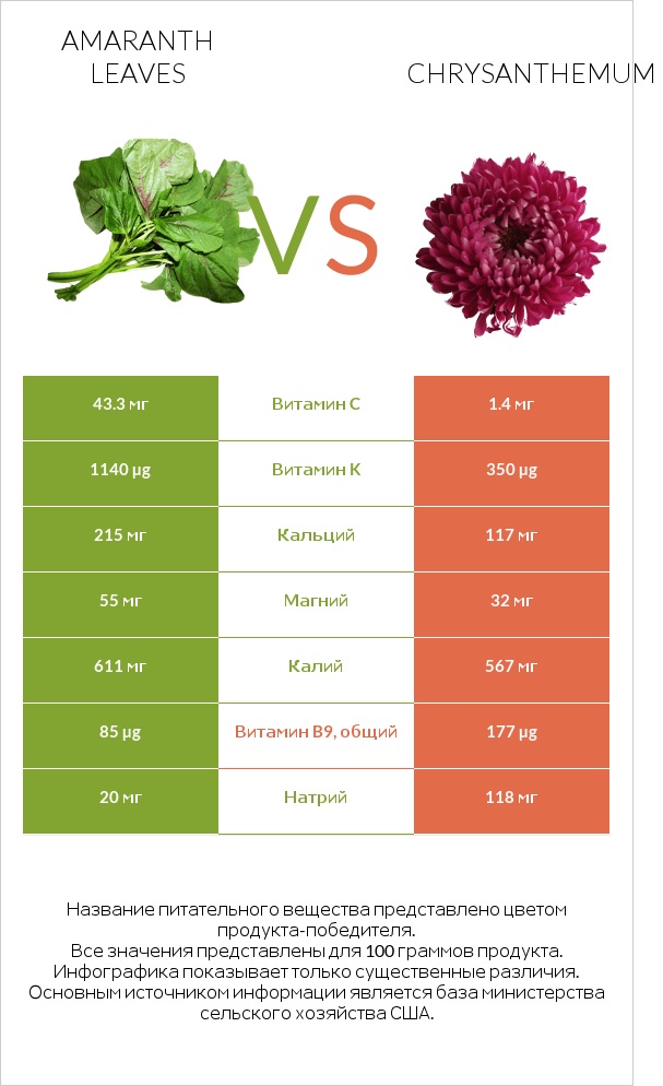 Amaranth leaves vs Chrysanthemum infographic