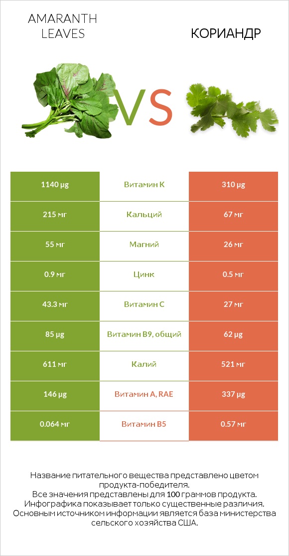 Листья амаранта vs Кориандр infographic